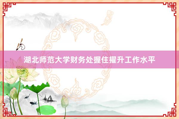 湖北师范大学财务处握住擢升工作水平